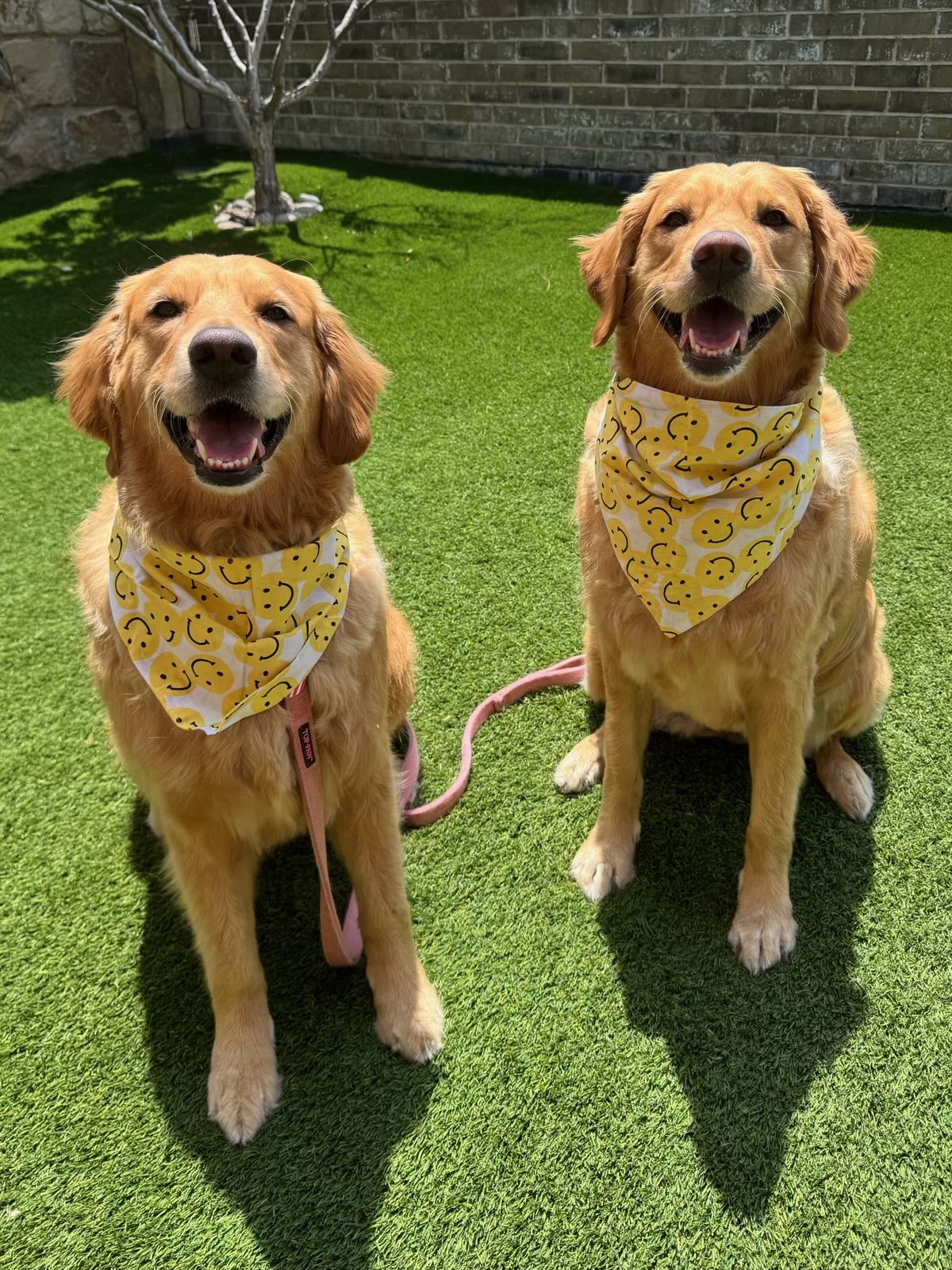 The Sisters